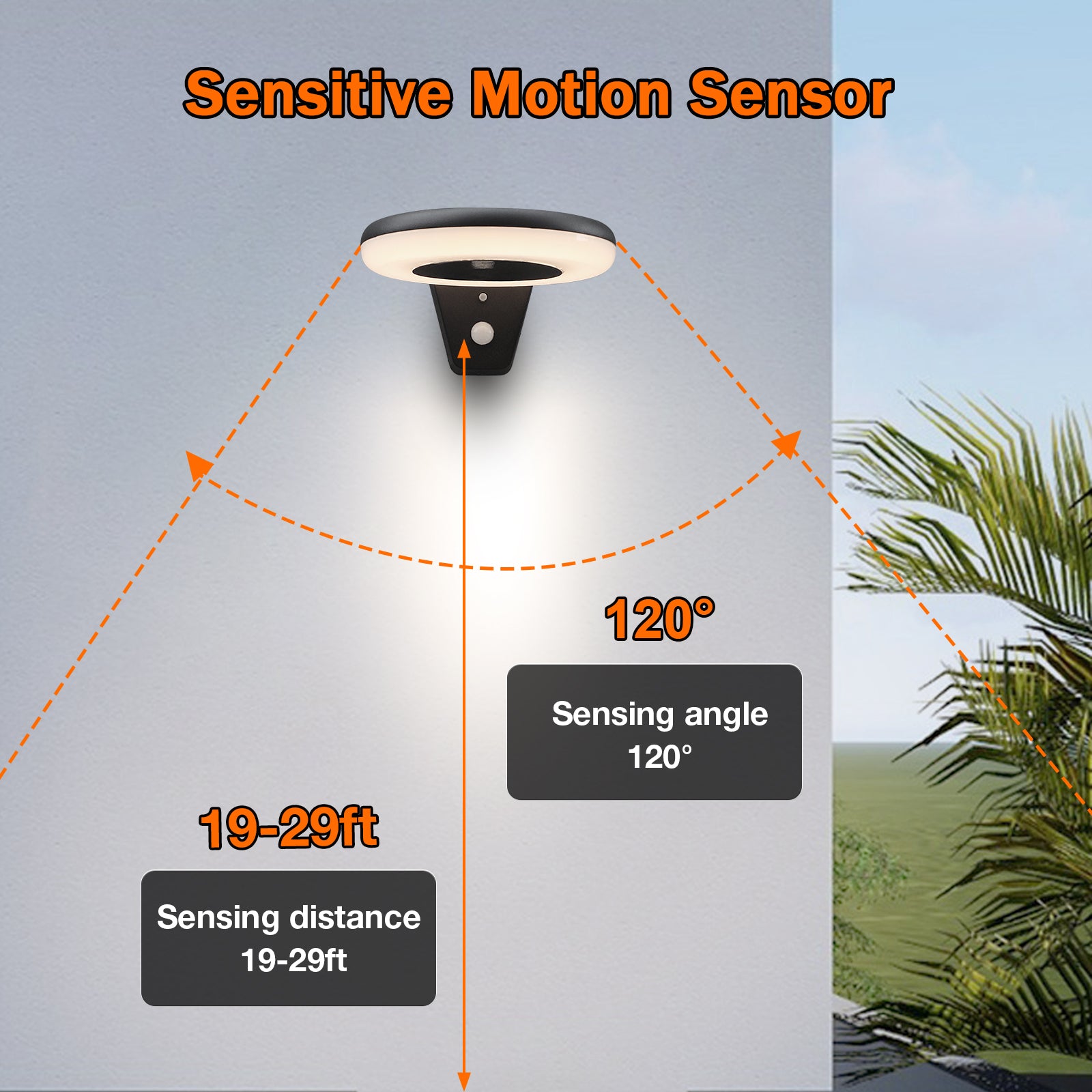 19 LED Outdoor Wall or Porch Lantern with Dusk to Dawn Sensor